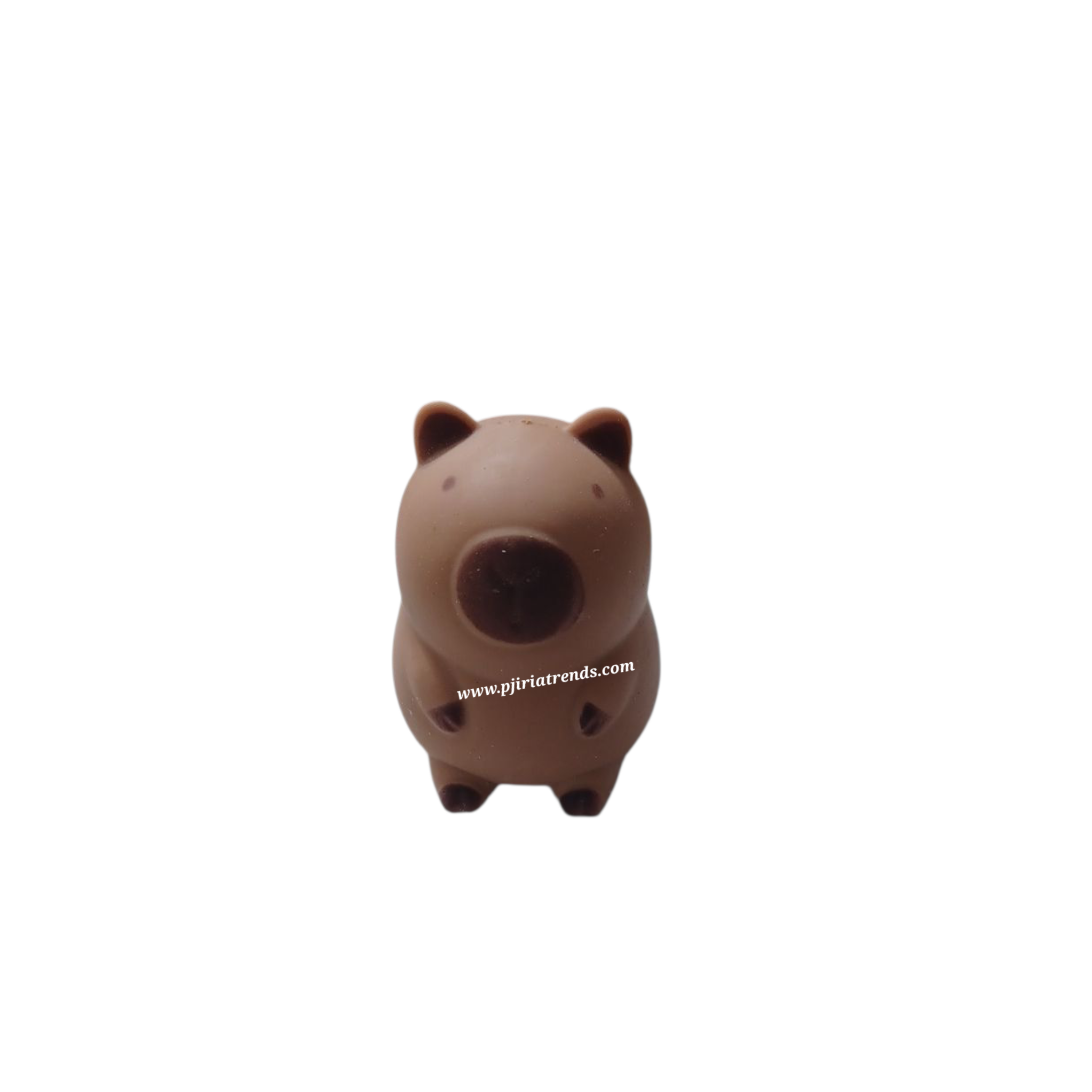 CAPYBARA SQUICHY
