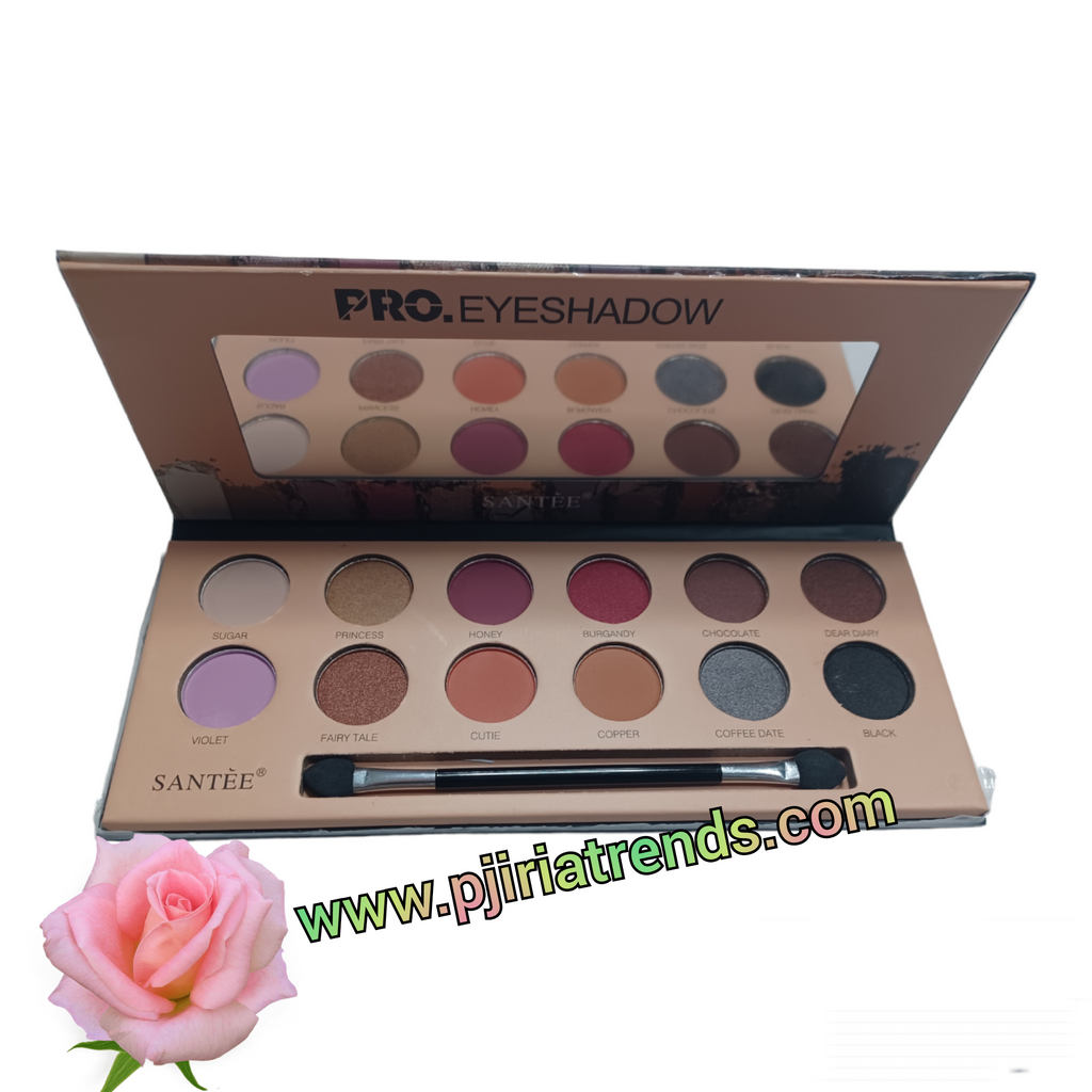 Santee Pro Finish Eyeshadow Palette